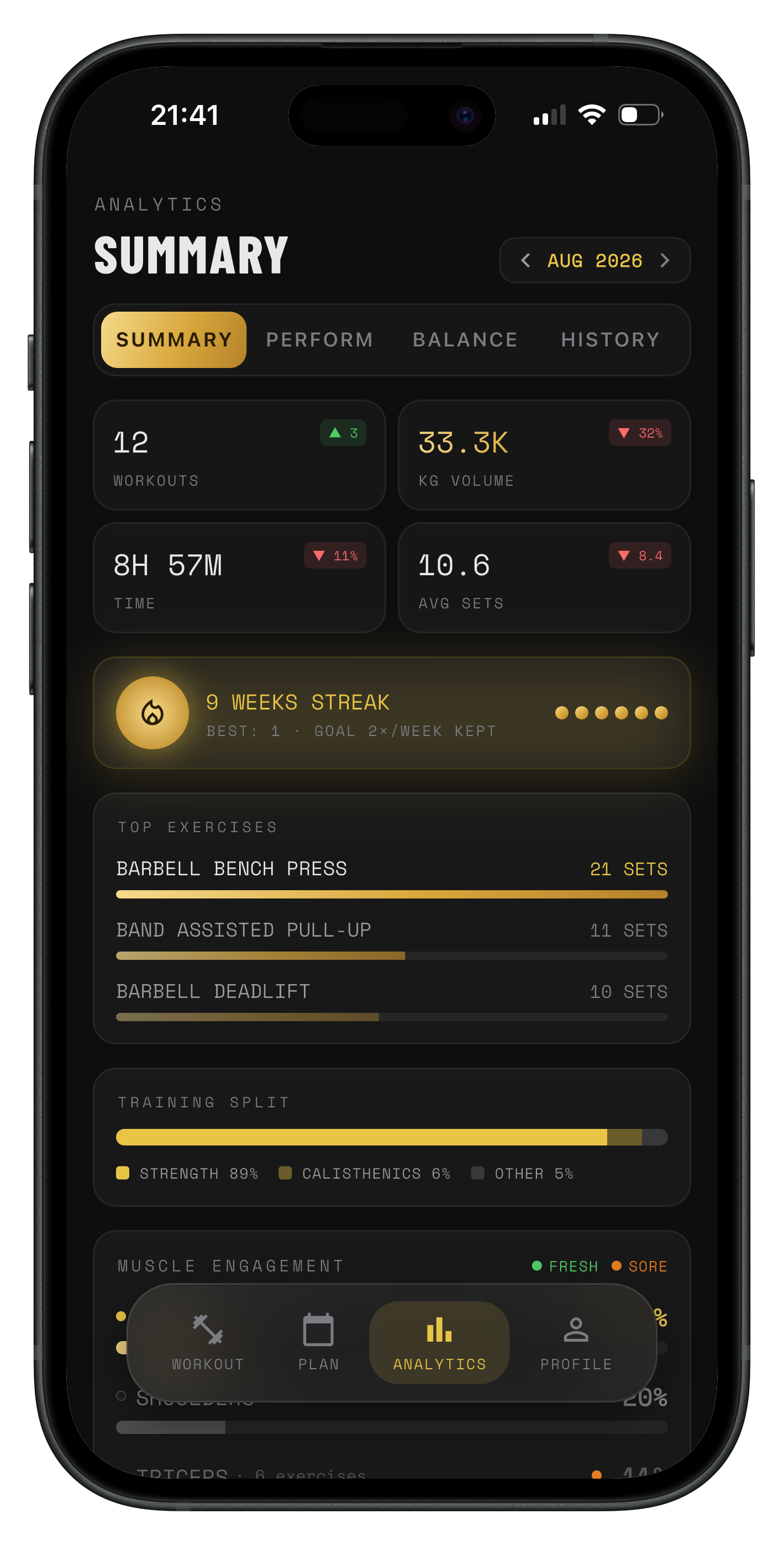 IronLog analytics summary screen showing workout stats and top exercises